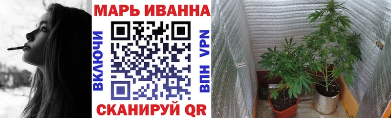 блэк спрут как войти  Сухой Лог  Бошки марихуана SATIVA & INDICA 