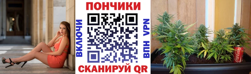 Марихуана планчик Сухой Лог